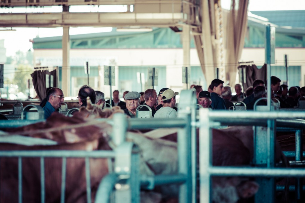 Foire de Laissac, Aveyron