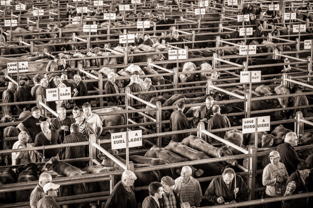 Foire de Laissac, Aveyron